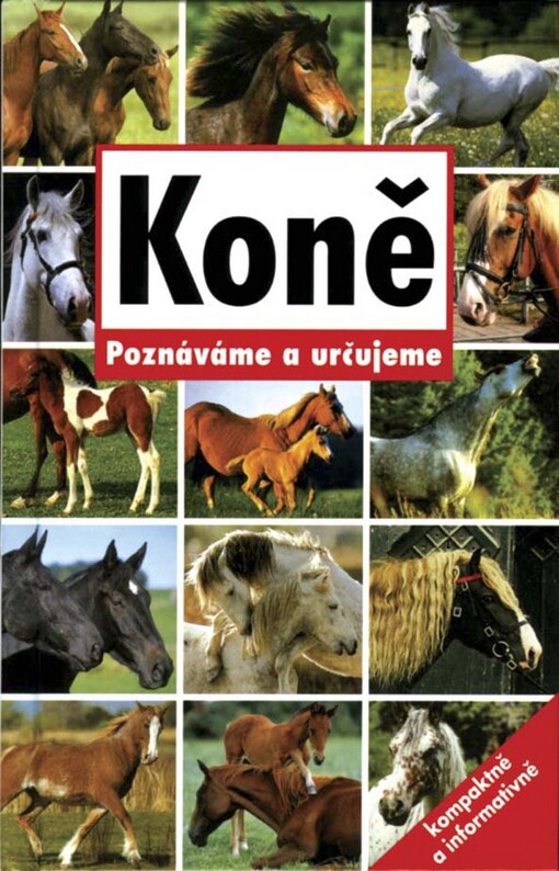 Koně: poznáváme a určujeme