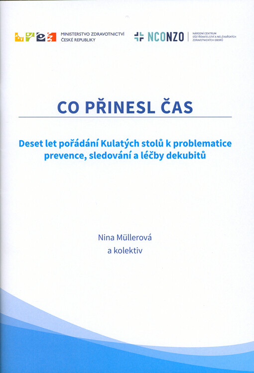 Co přinesl čas : deset let pořádání Kulatých stolů k problematice prevence, sledování a léčby dekubitů