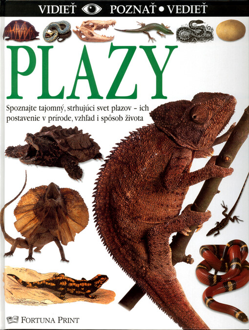 Plazy - vidieť, poznať, vedieť