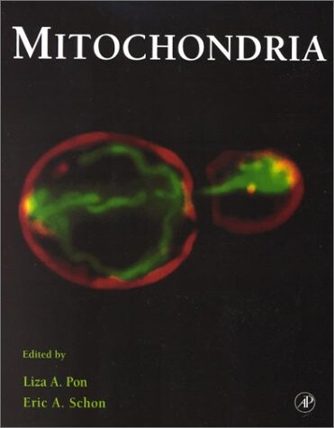 Mitochondria, Volume 65 (Methods in Cell Biology)