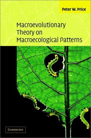 Macroevolutionary Theory on Macroecological Patterns