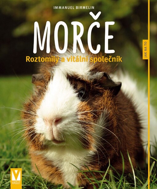 Morče: Jak na to - Immanuel Birmelin