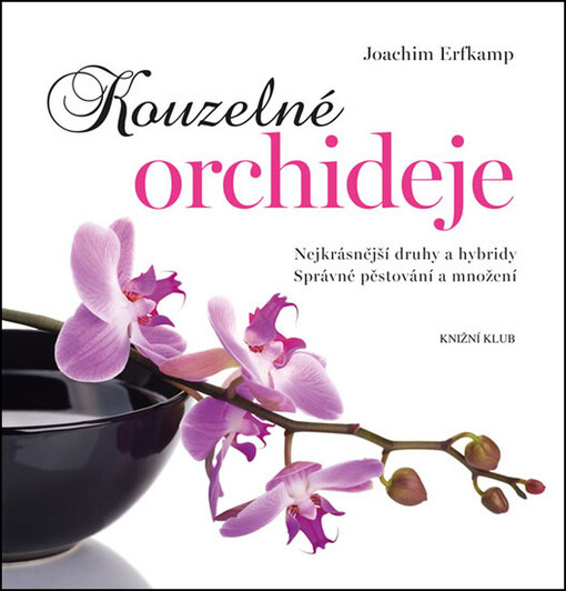 Kouzelné orchideje - Joachim Erfkamp