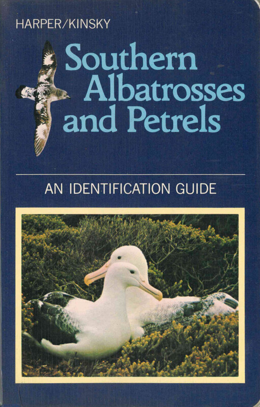 Southern albatrosses and petrels