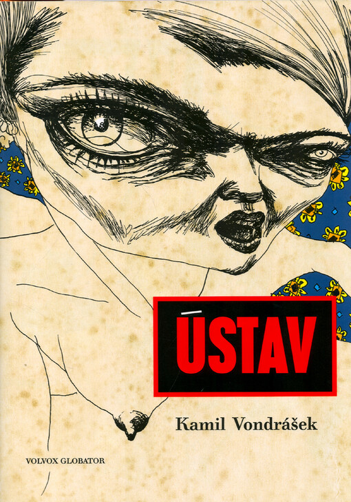 Ústav - Kamil Vondrášek