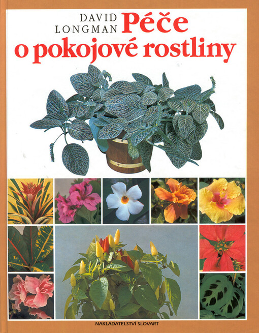 Péče o pokojové rostliny