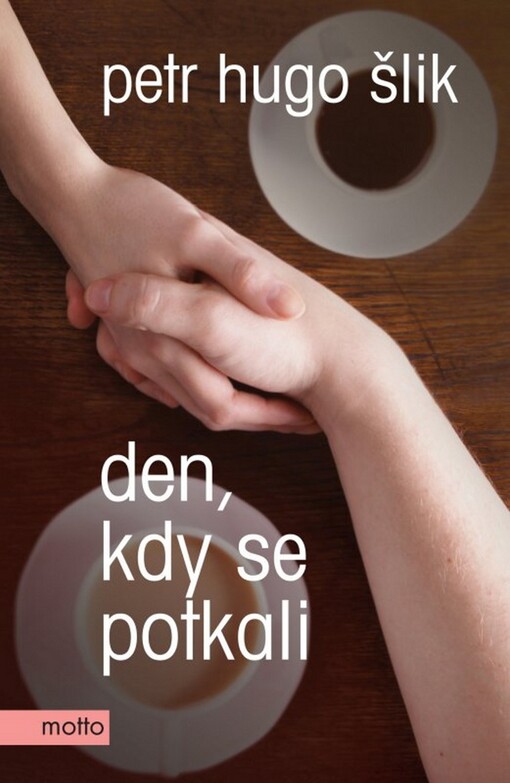 Den, kdy se potkali: (sex 2013)