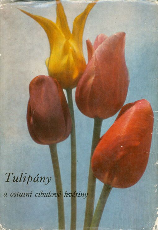 Tulipány a ostatní cibulové květiny