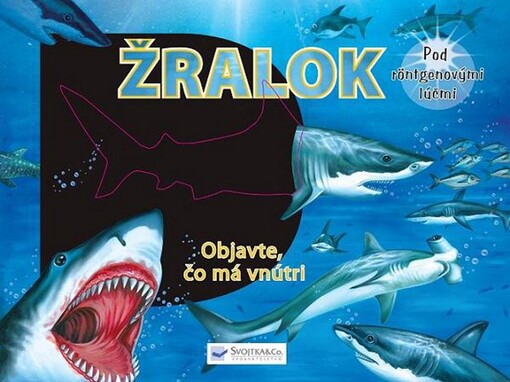 Žralok - Pod röntgenovými lúčmi-Objavte čo má vnútri