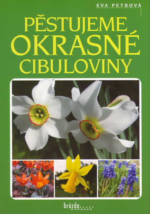 Pěstujeme okrasné cibuloviny