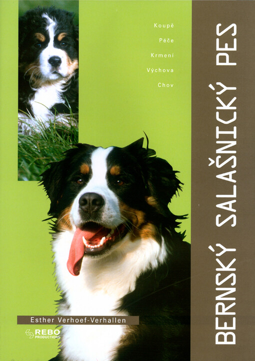Bernský salašnický pes.