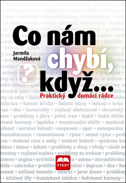 Co nám chybí, když-- :praktický domácí rádce