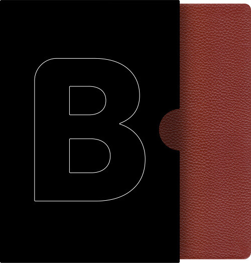 Bible 21