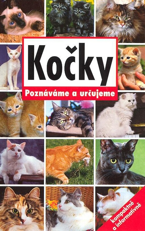 Kočky :poznáváme a určujeme