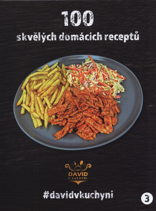 100 skvělých domácích receptů