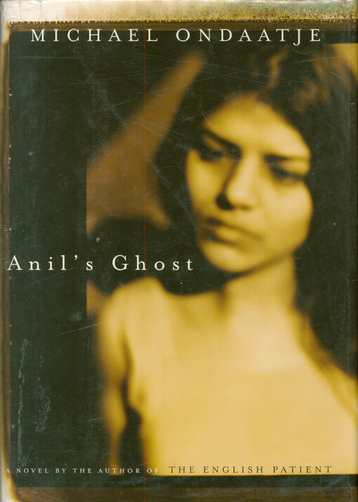 Anil's ghost