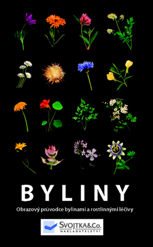 Byliny: obrazový průvodce bylinami a rostlinnými léčivy