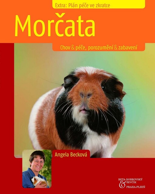 Morčata : chov & péče, porozumění & zabavení