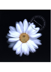 Dopisy z květin (odkaz v elektronickém katalogu)