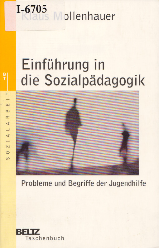 Einführung in die Sozialpädagogik : Probleme und Begriffe der Jugendhilfe