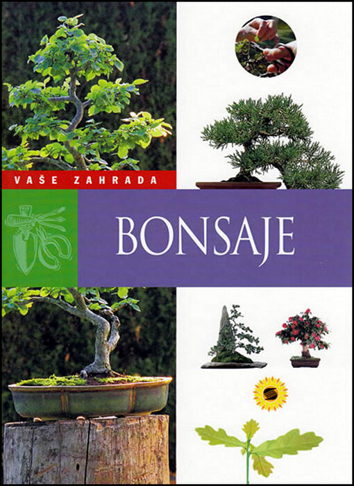 Bonsaje