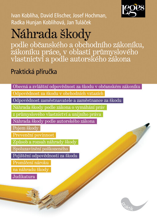 Náhrada škody podle občanského a obchodního zákoníku, zákoníku práce, v oblasti průmyslového vlastnictví a podle autorského práva : praktická příručka