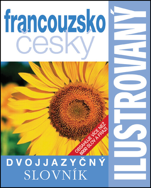 Dvojjazyčný ilustrovaný slovník