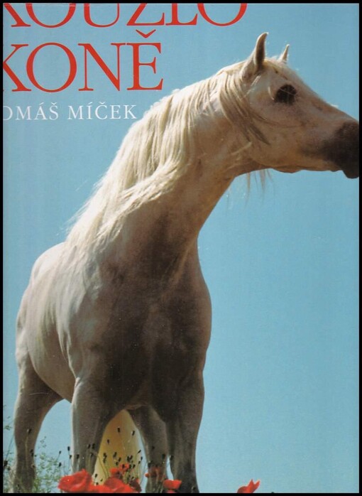 Kouzlo koně