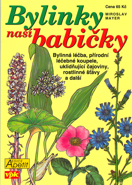 Bylinky naší babičky: [bylinná léčba, přírodní léčebné koupele, uklidňující čajoviny, rostlinné šťávy a další]