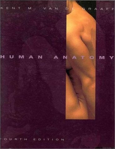 Human anatomy