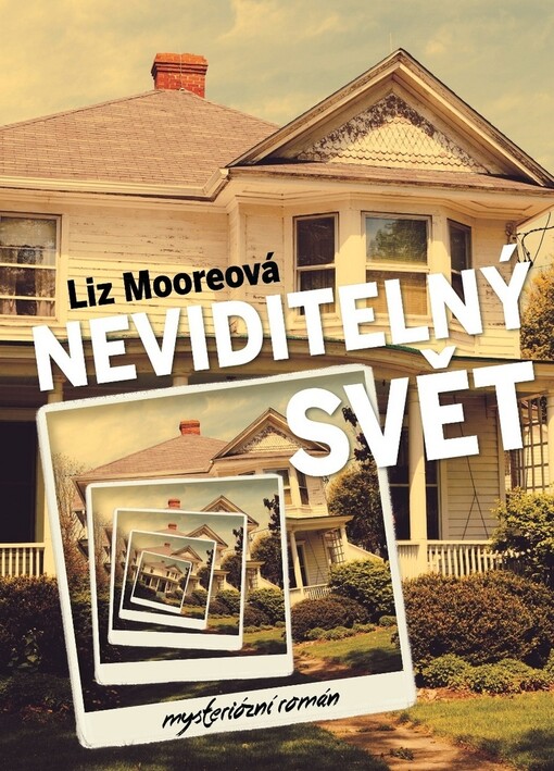 Neviditelný svět: mysteriózní román