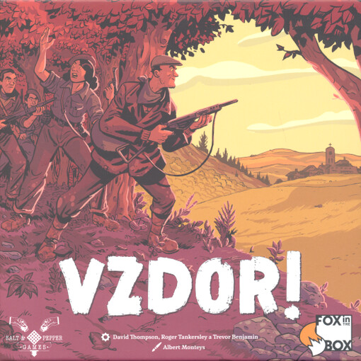 Vzdor