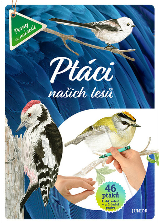 Ptáci našich lesů : 46 ptáků k obkreslení + průhledné papíry