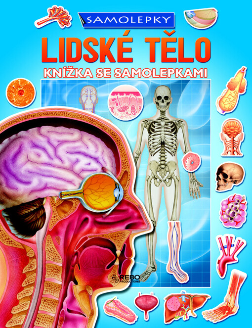 Lidské tělo : knížka se samolepkami