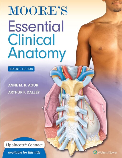 Moore's essential clinical anatomy