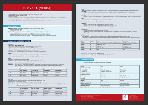 Slovesa (verba) /