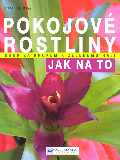 Pokojové rostliny: krok za krokem k zelenému ráji