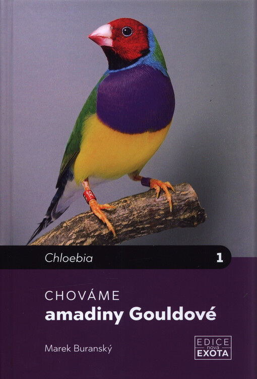 Chováme amadiny Gouldové