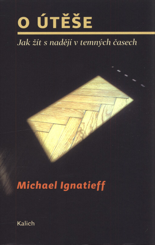O útěše : jak žít s nadějí v temných časech