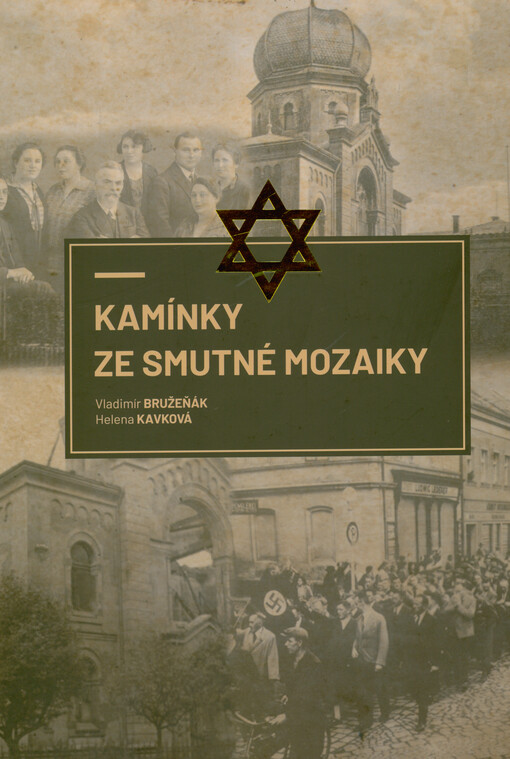 Kamínky ze smutné mozaiky : dějiny a osudy židovských obyvatel města Falkova-Sokolova v době holocaustu