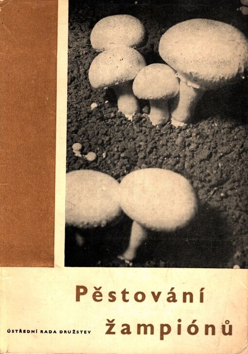 Pěstování žampiónů