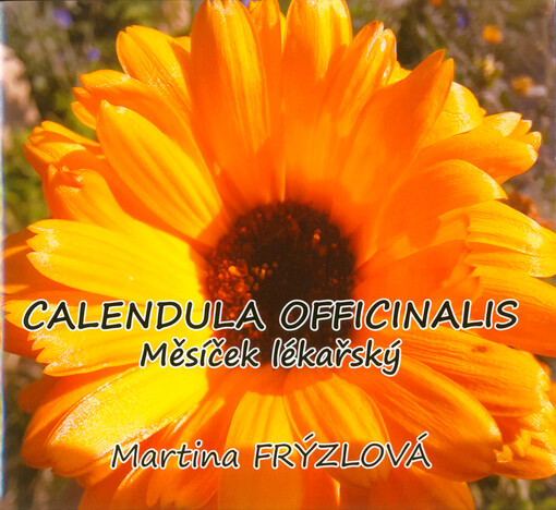 Calendula officinalis = Měsíček lékařský