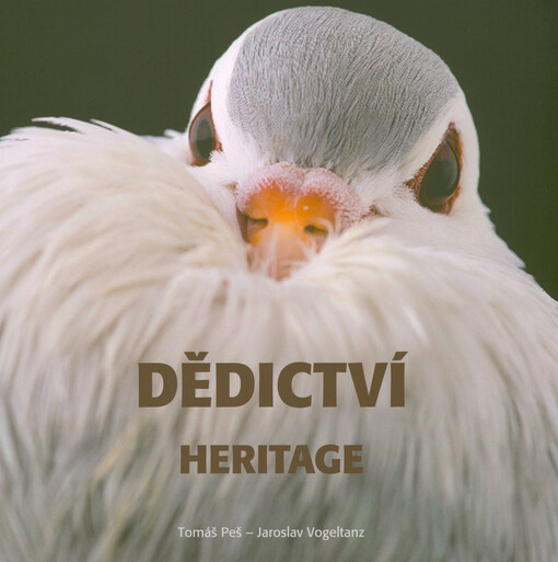 Dědictví = Heritage