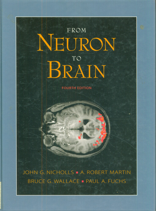 From neuron to brain
