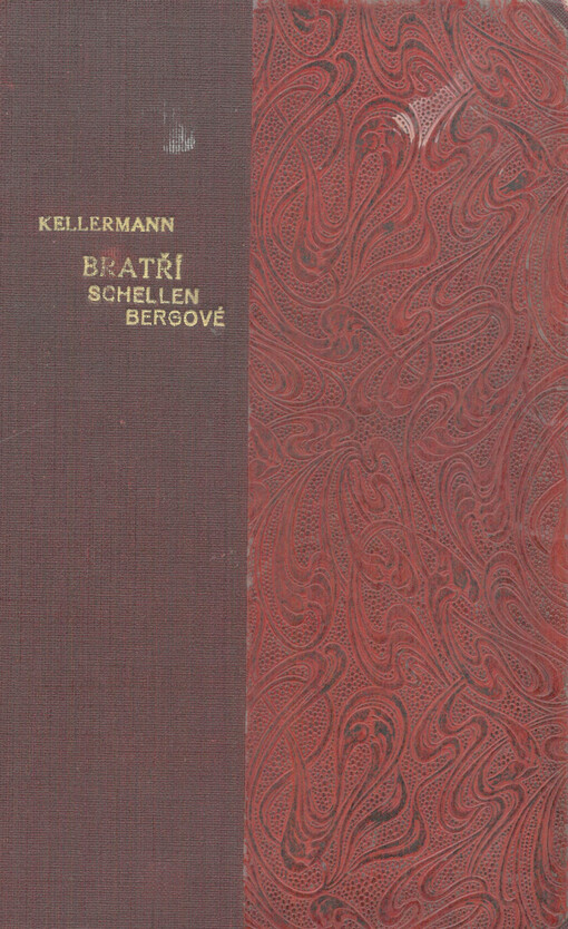 Bratří Schellenbergové : román