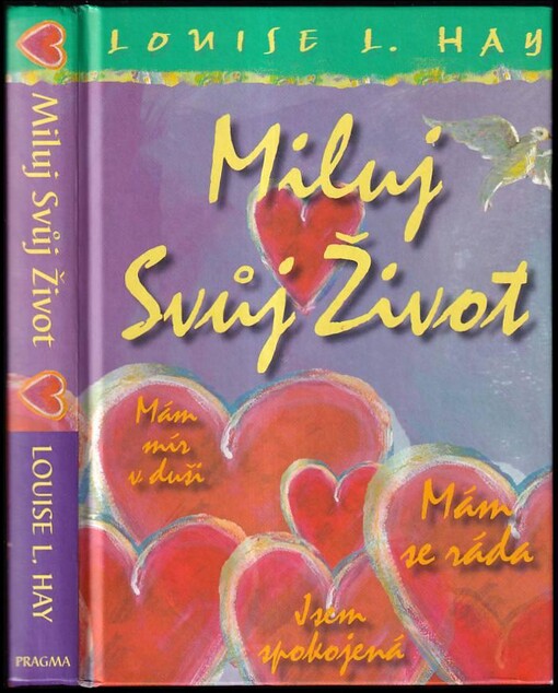 Miluj svůj život
