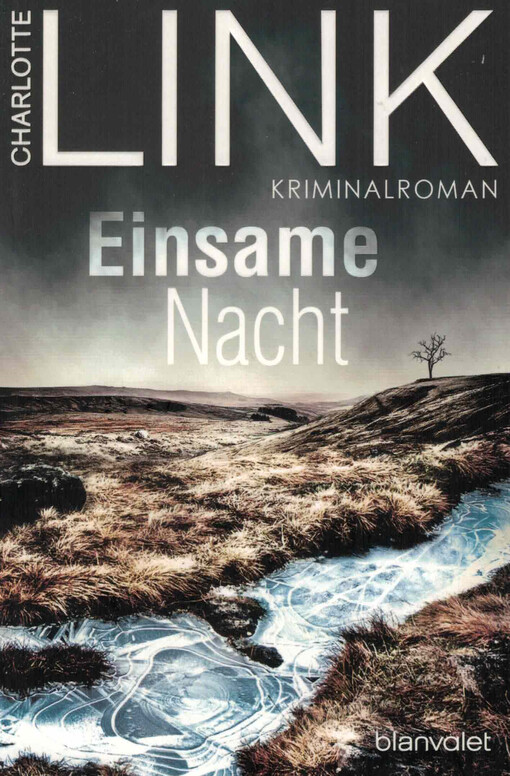 Einsame Nacht : Kriminalroman