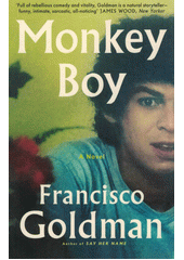Monkey boy : a novel  (odkaz v elektronickém katalogu)