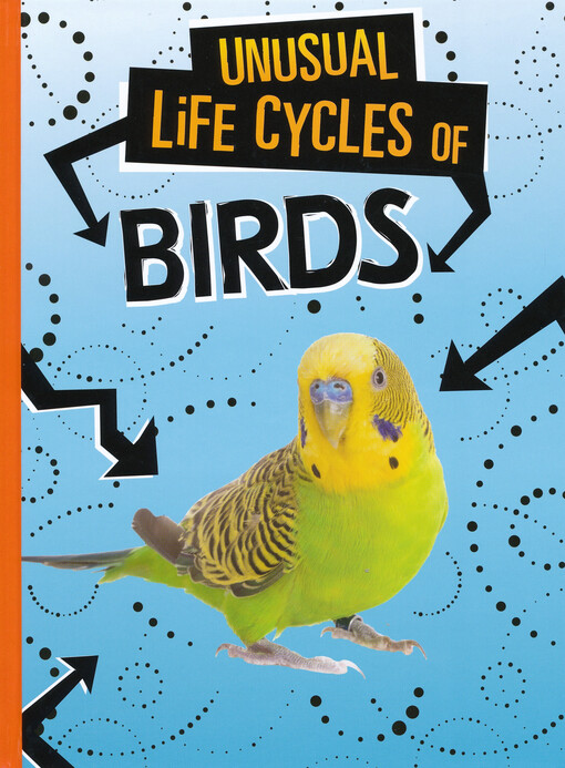 Unusual life cycles of birds