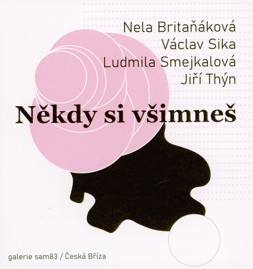 Nela Britaňáková, Václav Sika, Ludmila Smejkalová, Jiří Thýn : někdy si všimneš